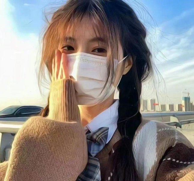 黑狐之风影